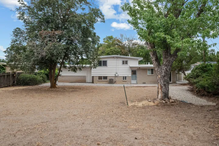 Expansive yard with mature trees and a gravel pathway