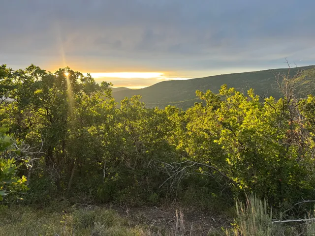 Mountain view