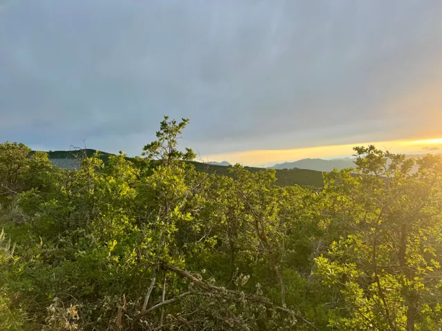 Expansive natural landscape featuring lush green foliage and distant mountain ranges under a dramatic sky