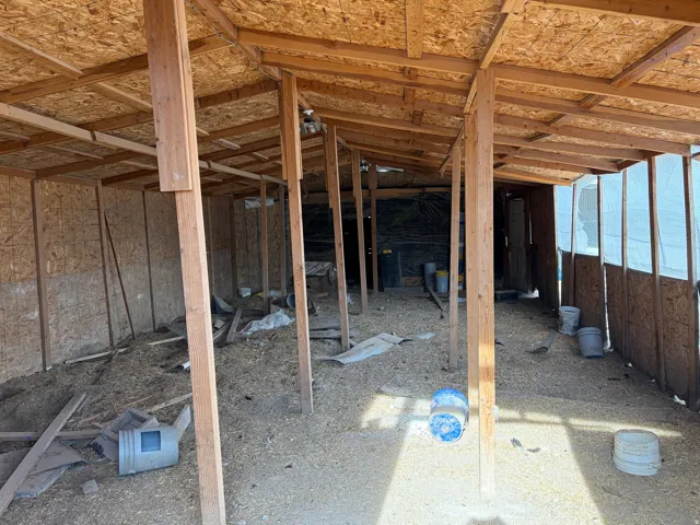 Open-air structure featuring exposed wood framing, oriented strand board walls, and a translucent exterior wall