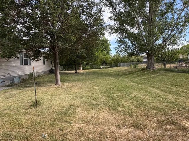 Fenced potion of the yard- Expansive rear yard featuring mature trees and a chain-link fence