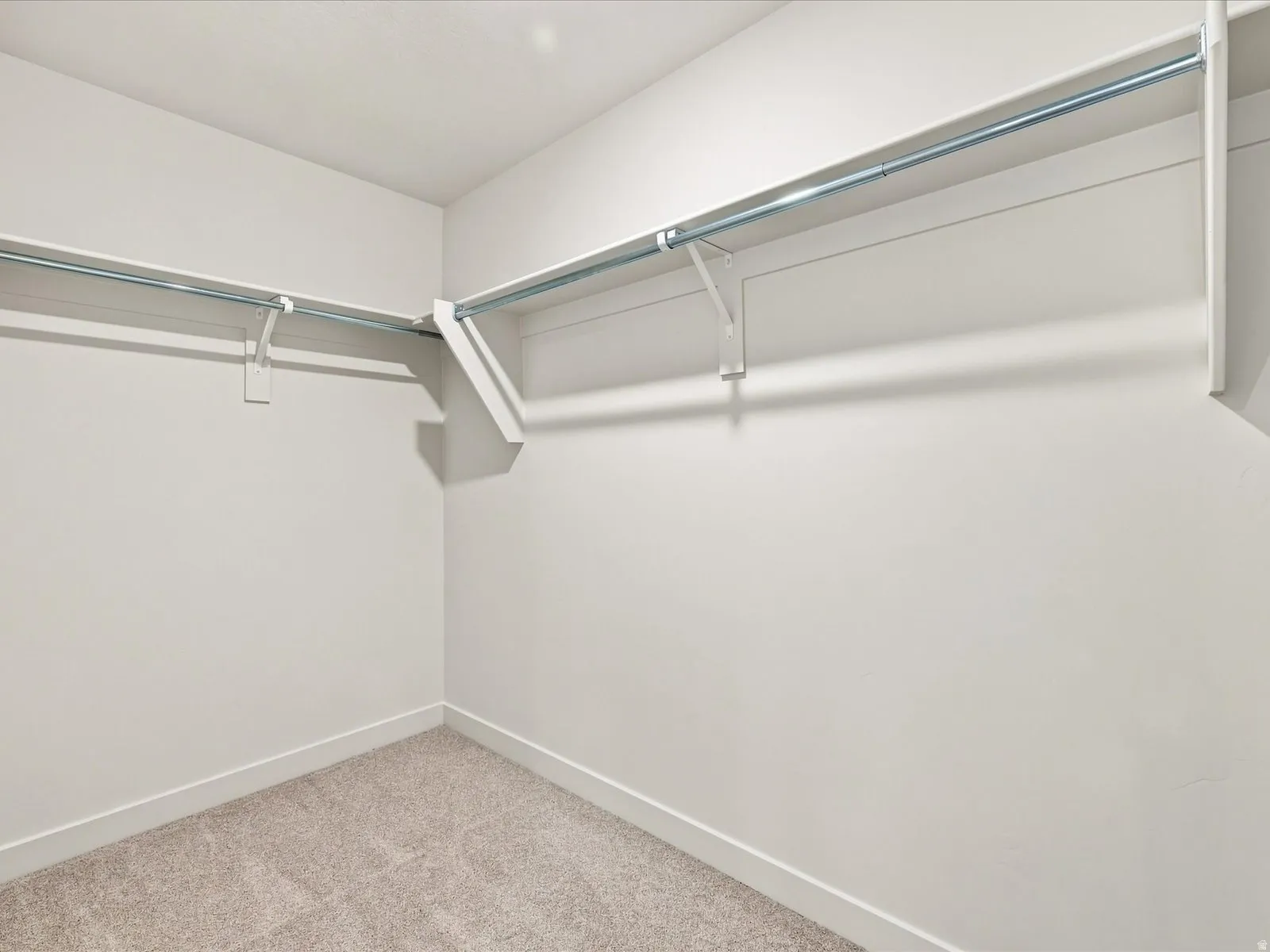 Walk-in closet with carpet flooring, white walls, and built-in shelving with hanging rods