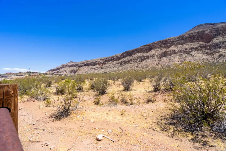 Expansive desert landscape with scrub brush and a distant mountain range