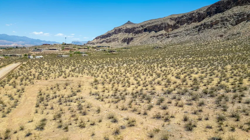 Expansive desert landscape with scattered low-lying vegetation