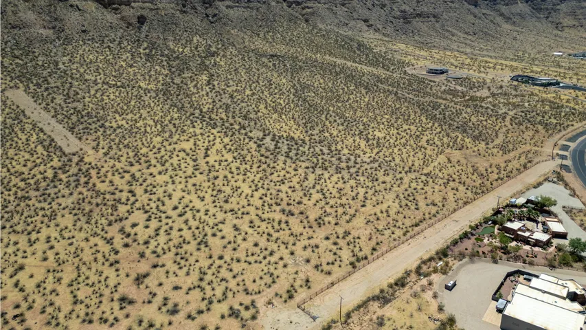 Expansive desert landscape featuring natural vegetation and mountain backdrops