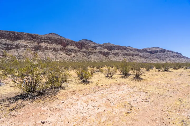 Expansive desert landscape with a clear, open sky