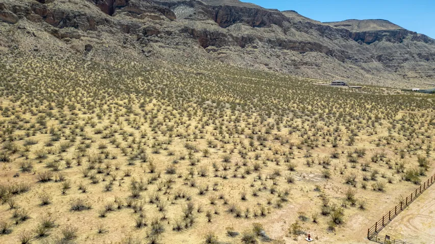 Expansive desert landscape with scattered low-lying vegetation