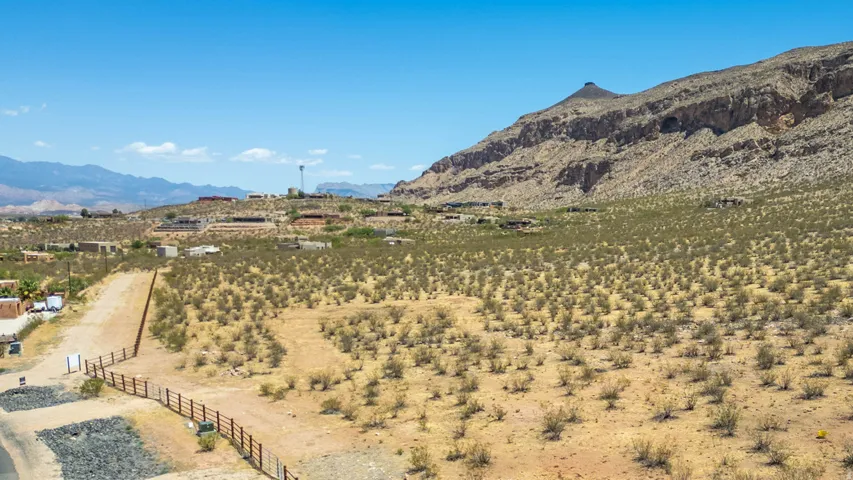 Expansive desert landscape with natural vegetation, framed by distant mountains and a clear sky