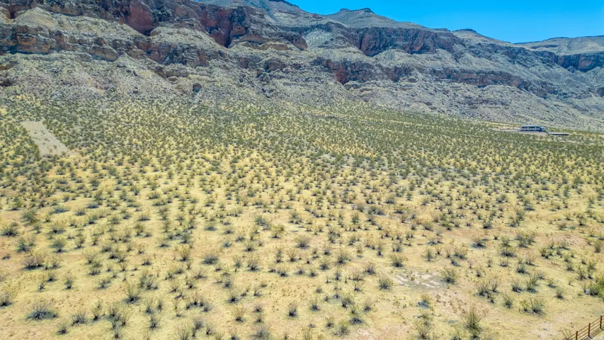 Expansive desert landscape featuring natural scrub vegetation and a distant mountain range