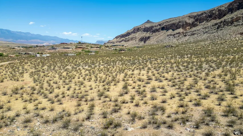 Expansive desert landscape featuring natural scrub vegetation and a distant mountain range
