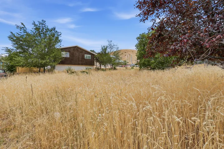 Back yard.