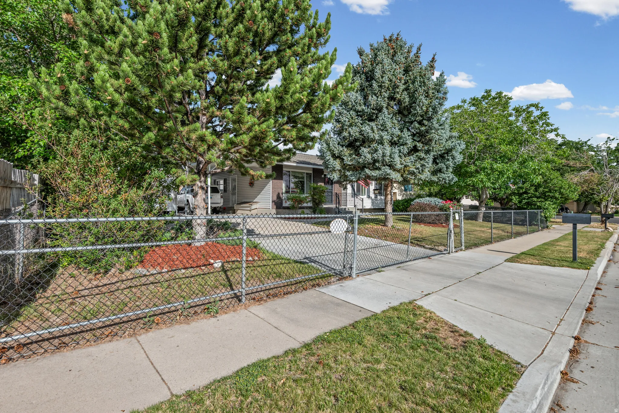 Front yard featuring mature trees, a chain-link fence with a double gate, a concrete driveway, and a sidewalk