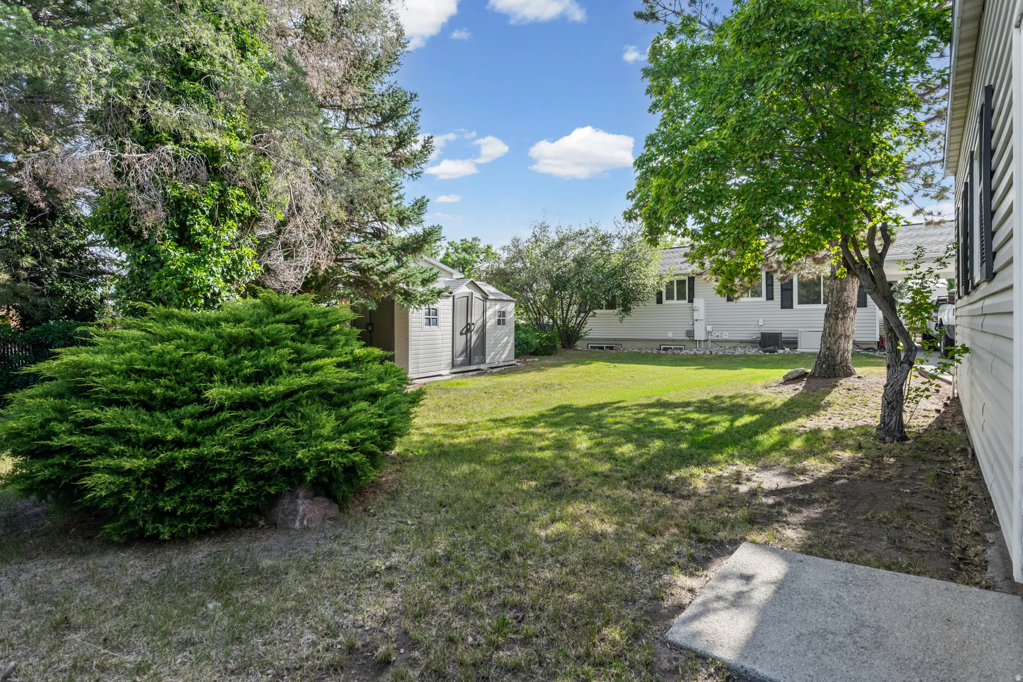 Expansive grassy yard featuring mature trees and established shrubbery