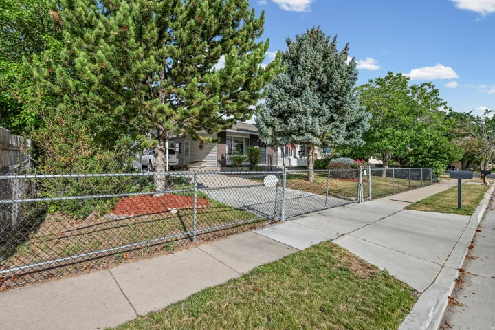 Front yard featuring mature trees, a chain-link fence with a double gate, a concrete driveway, and a sidewalk