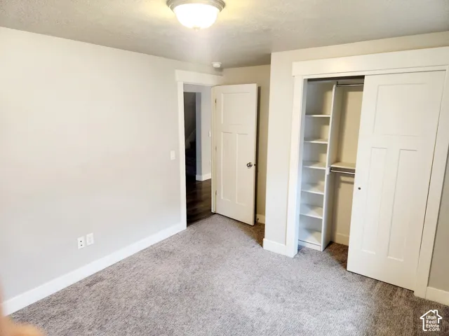 Plush gray carpeting and crisp white baseboards