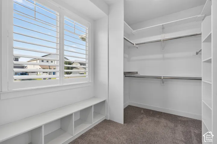 Walk-in closet featuring white built-in shelving, hanging rods, and carpet flooring