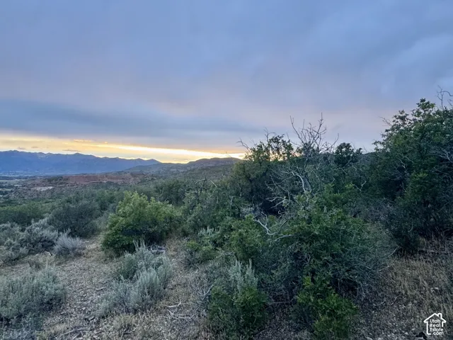 Expansive natural landscape featuring varied green foliage, distant mountain ranges, and a broad sky with a sunset glow