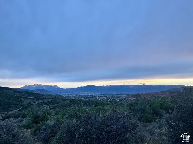 Expansive landscape featuring distant mountains with snow-capped peaks, rolling hills, and mature natural vegetation