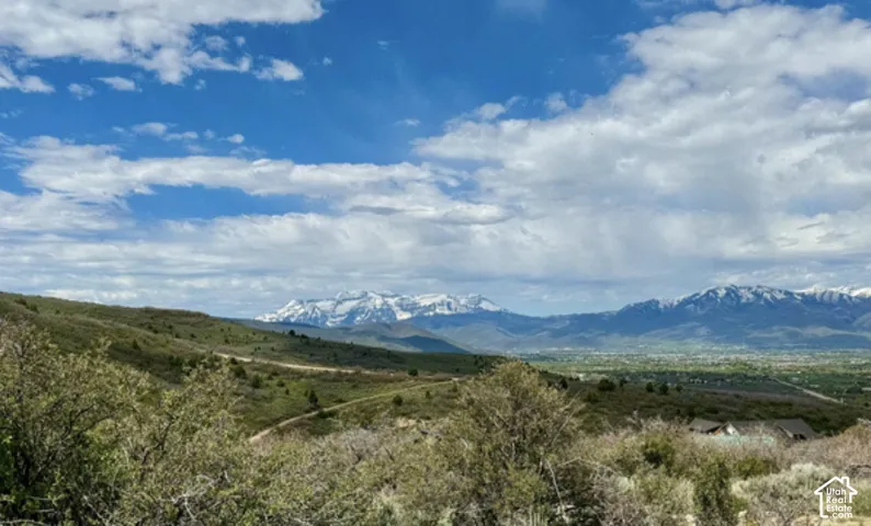 Sweeping natural landscape featuring snow-capped mountains, expansive valleys, and a winding dirt path
