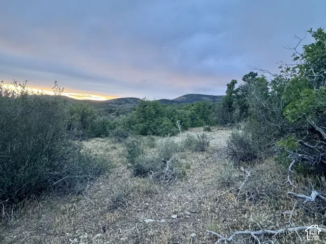 Expansive natural landscape featuring varied terrain and mature trees