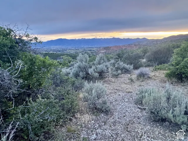 Expansive mountain scenery with a distant valley, featuring natural vegetation and a dramatic sky