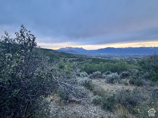Expansive natural landscape with varied foliage and distant mountain ranges