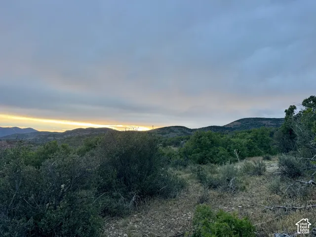 Expansive natural landscape featuring rolling hills and abundant shrubbery under a dramatic sky with a prominent sunset