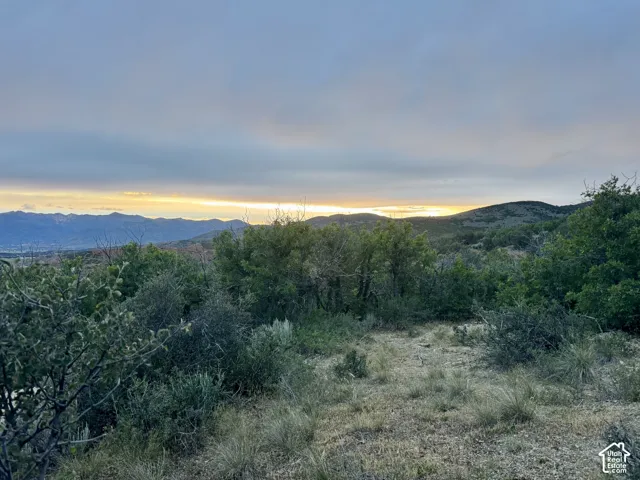 Expansive natural landscape with varied terrain and established trees