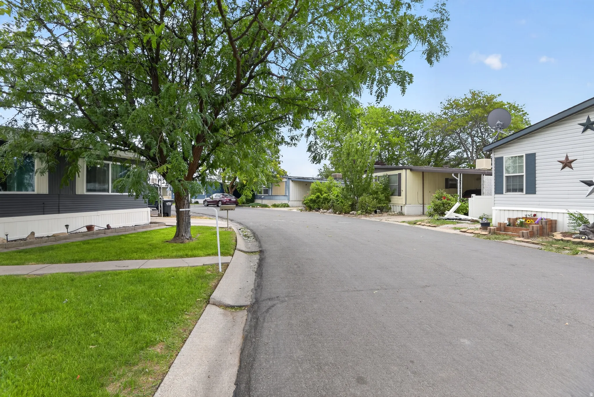Paved residential street lined with mature trees and landscaped green spaces