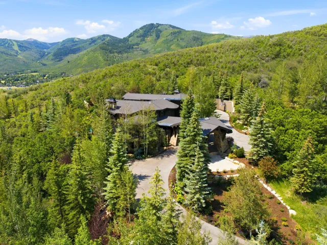 Architectural residence nestled amongst mature trees, featuring a stone and wood facade, multiple rooflines, and a paved circular driveway