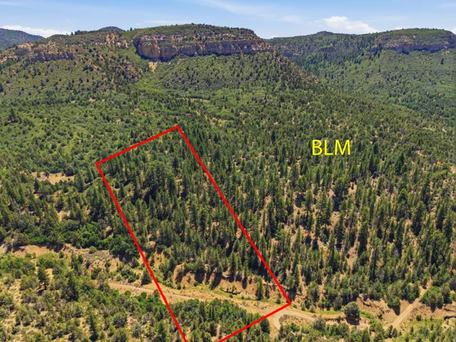 Expansive wooded lot featuring mature trees and a sloped terrain