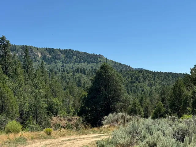 Mountainous terrain featuring expansive landscape and natural ground cover