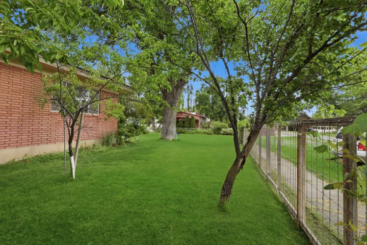 Expansive green lawn with mature trees and a brick-sided structure