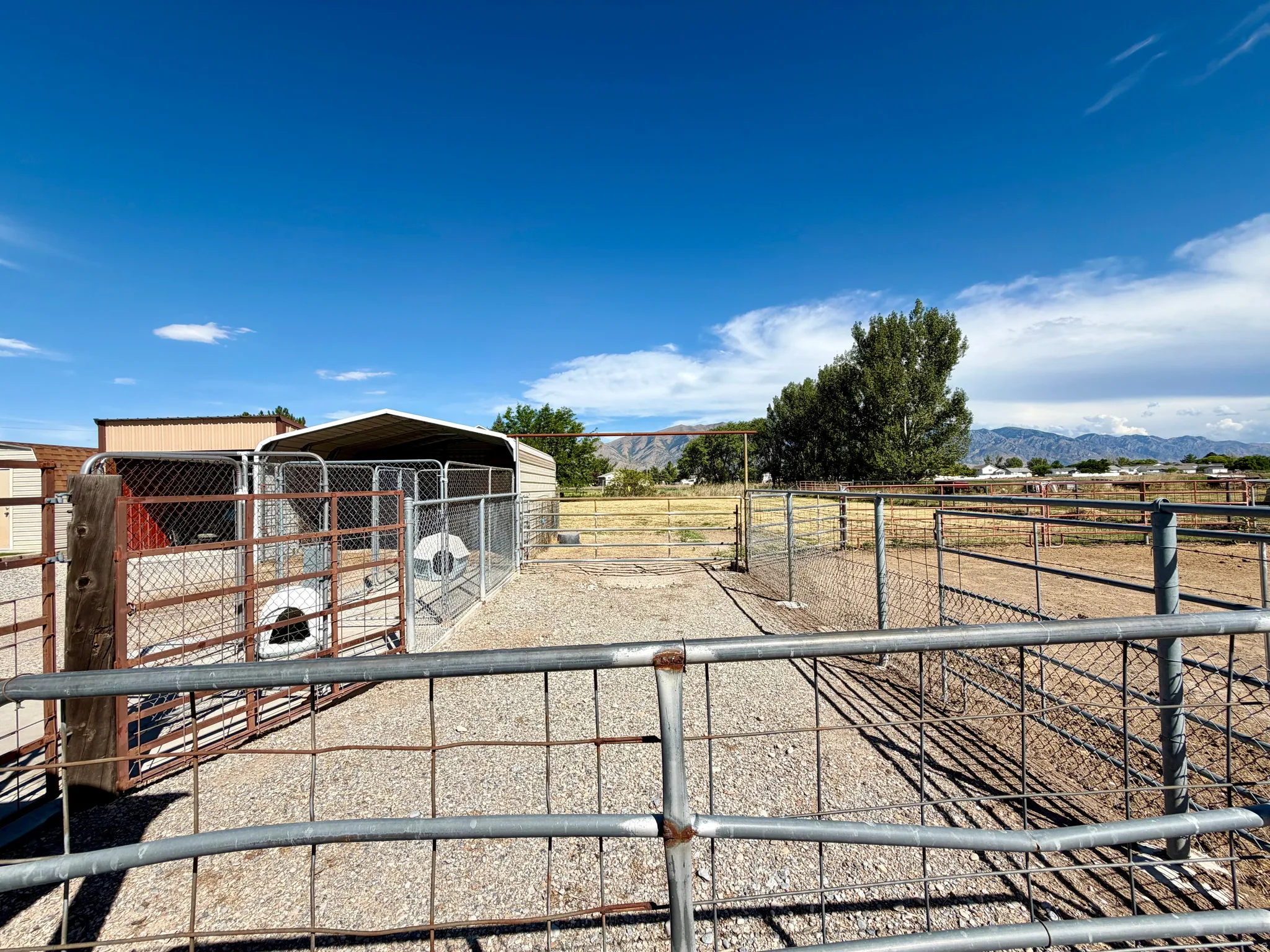 Enclosed kennel structure with a metal roof and gravel ground cover, featuring chain link fencing and multiple gated sections