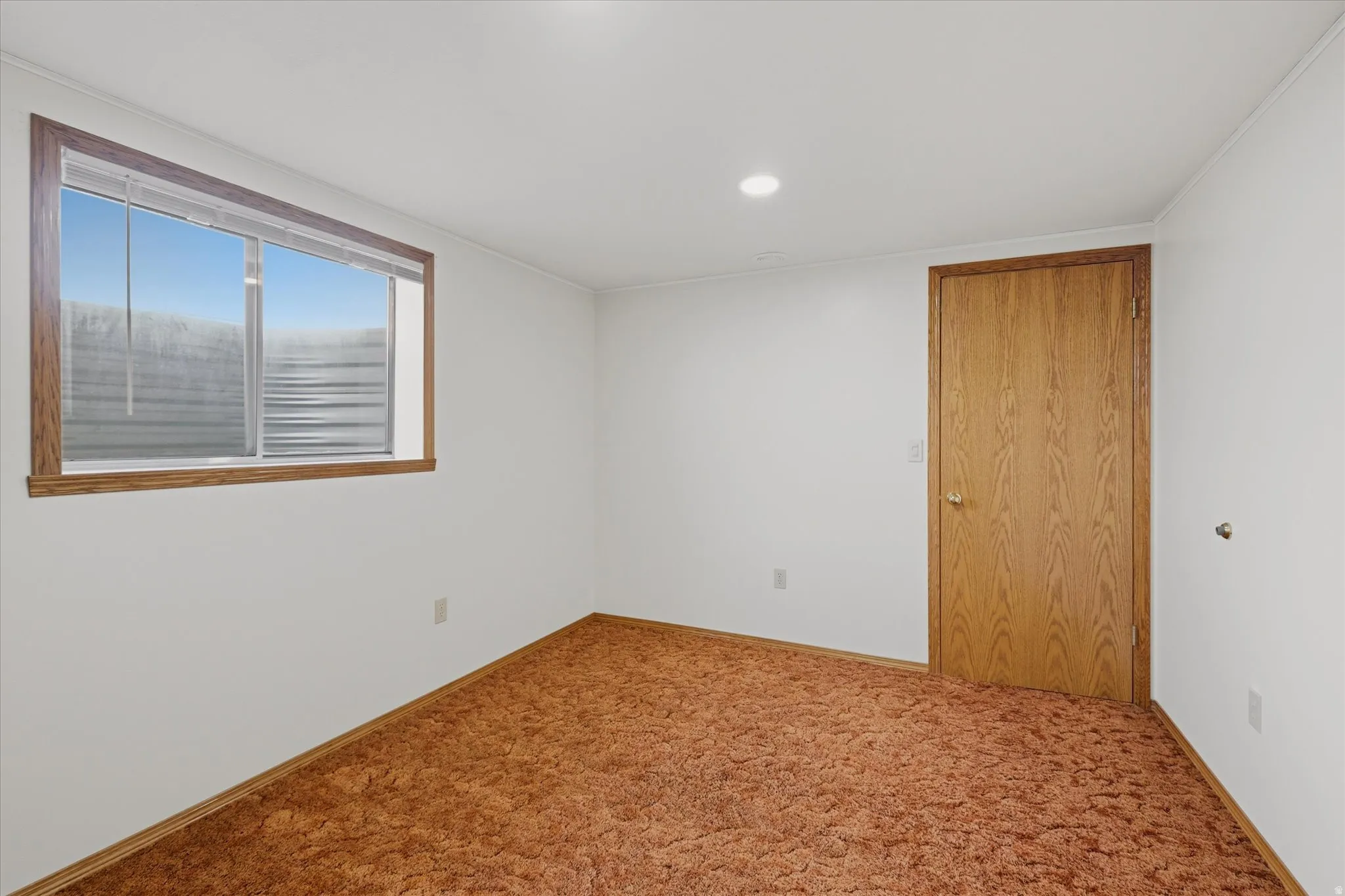 Carpeted interior space featuring white walls and a wood-paneled door frame