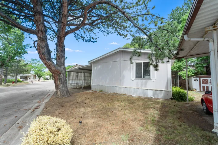 Carport structure with a paved driveway, exterior shedding, and mature tree