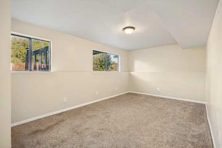 Carpeted room featuring two windows, recessed ceiling, and a flush-mount light fixture