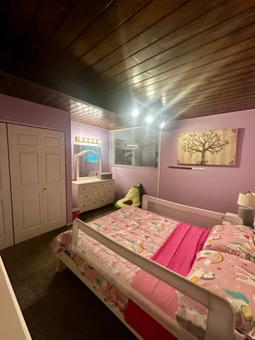 Wood-paneled ceiling with track lighting