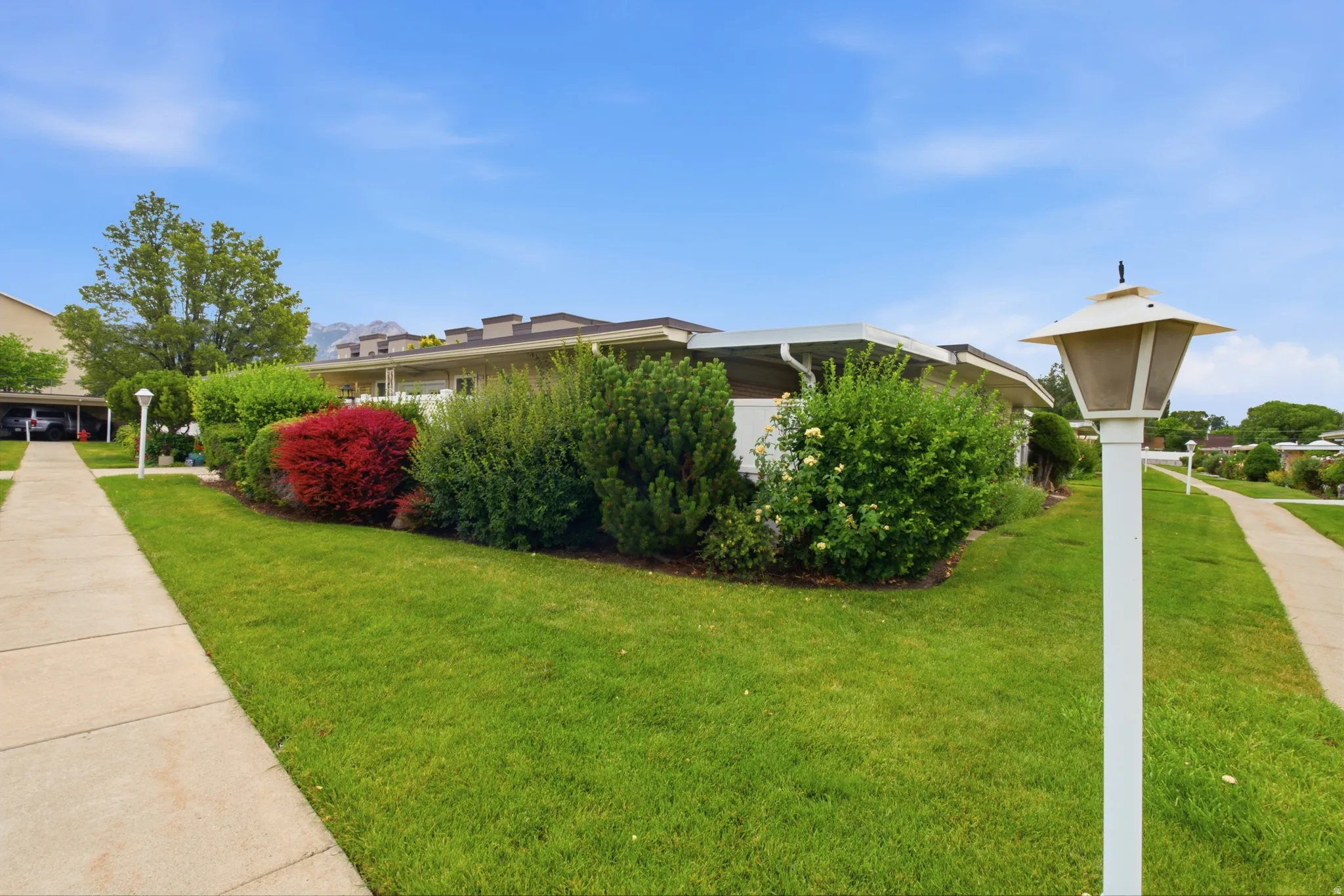 Manicured lawn with mature shrubs and trees bordering a concrete pathway