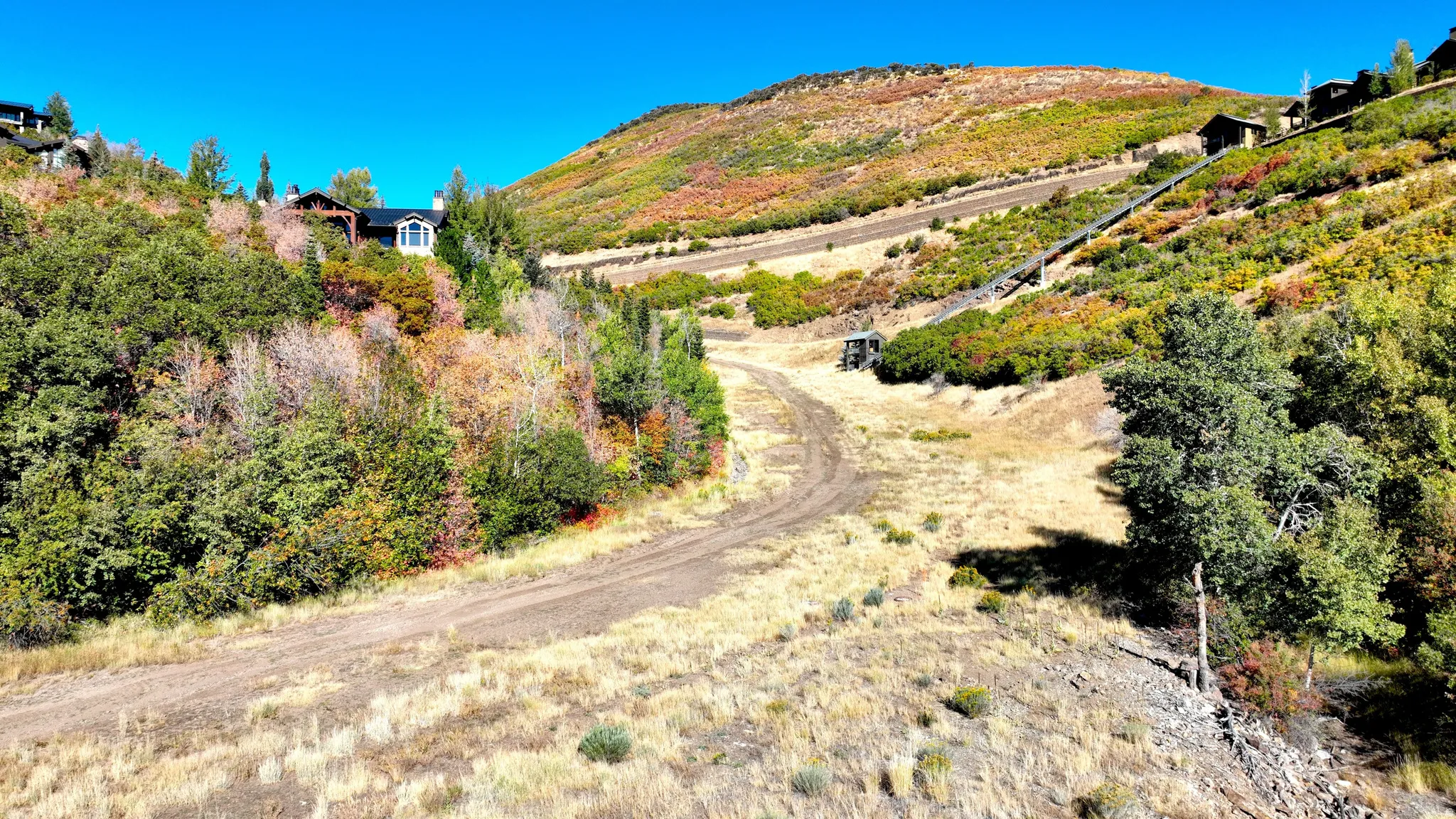 Mountainous terrain featuring vibrant autumn foliage and a dirt road winding through the landscape
