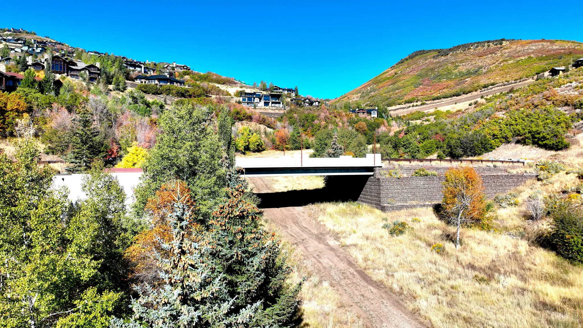 Mountainous terrain featuring diverse foliage and distant residences