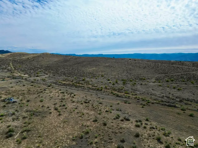 Expansive arid landscape featuring natural vegetation and distant hills