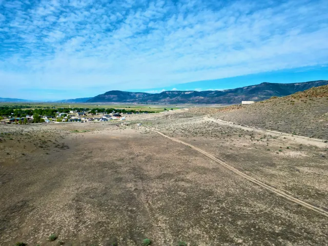 Expansive undeveloped land featuring natural desert vegetation, a visible dirt path, and a mountain range backdrop