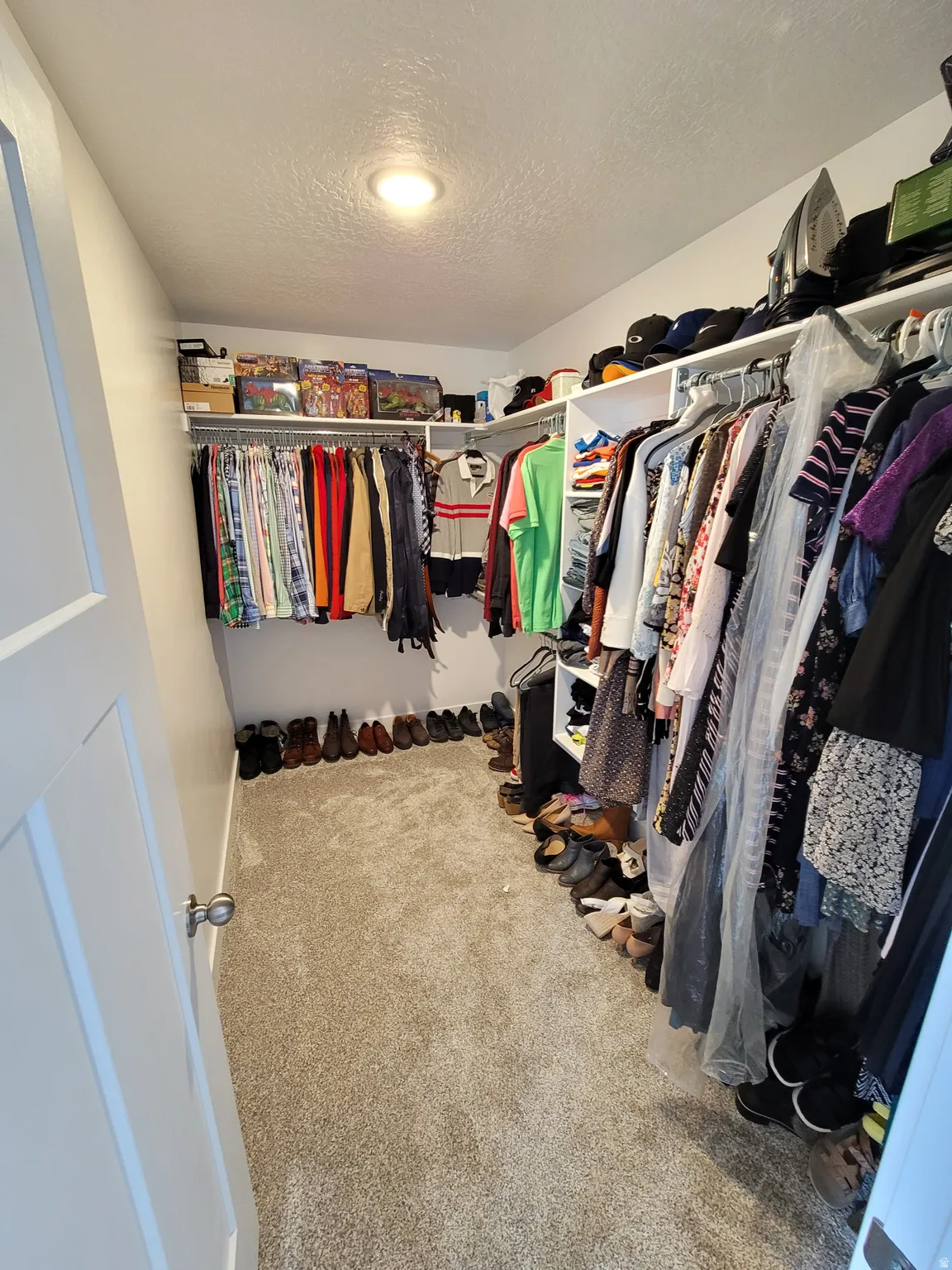Walk-in closet featuring light-toned carpeting, recessed ceiling lighting, and extensive built-in shelving and hanging rods
