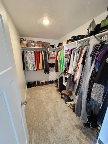 Walk-in closet featuring light-toned carpeting, recessed ceiling lighting, and extensive built-in shelving and hanging rods