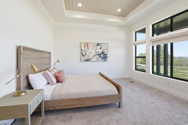 Room featuring an illuminated tray ceiling with wood-finish paneling, expansive windows with roller shades, and light-toned carpeting