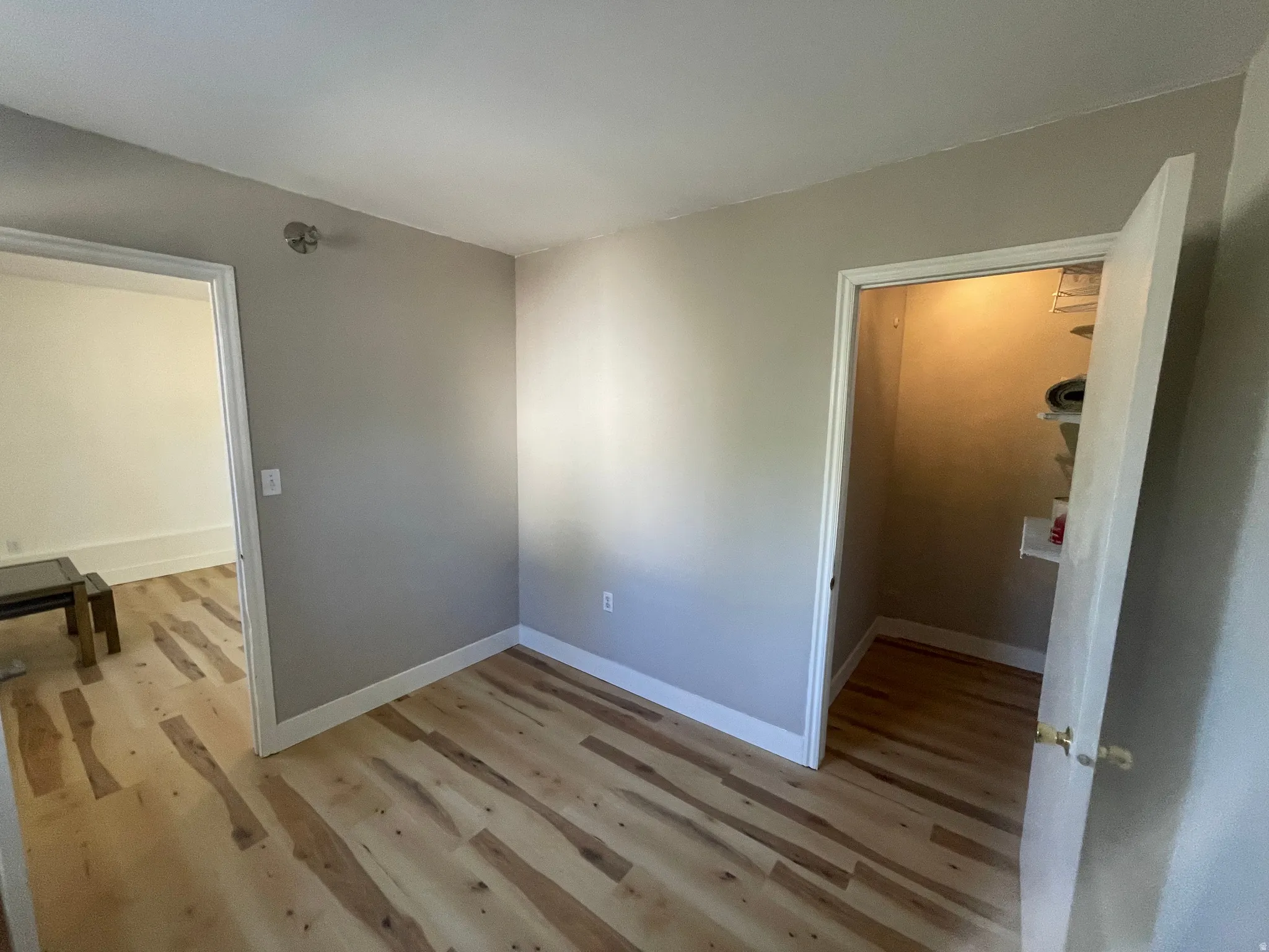 Interior room featuring wood-finish flooring, light gray wall paint, white baseboards, and a built-in closet with shelving