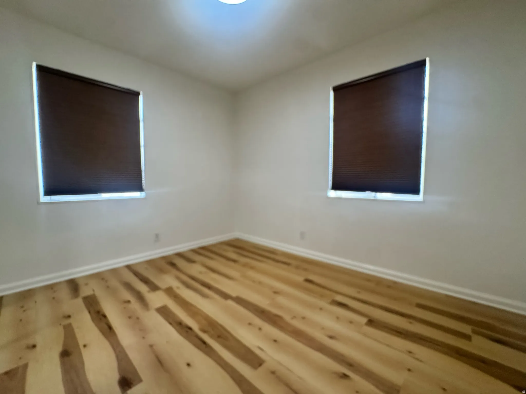 Room featuring two windows with dark cellular blinds and a ceiling-mounted light fixture