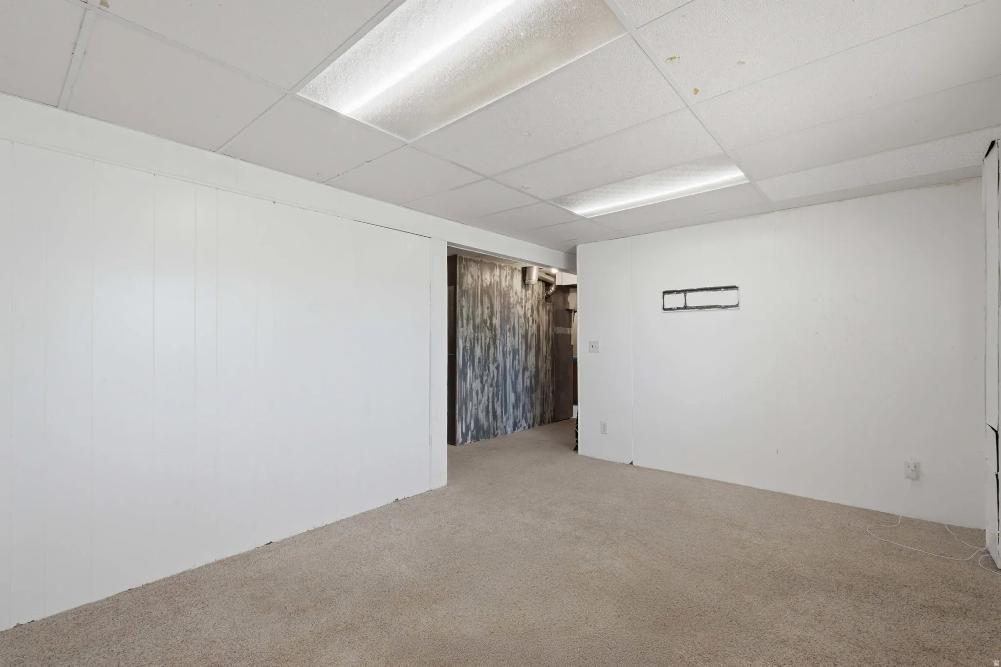 Carpeted room with white paneling and a drop ceiling featuring fluorescent lighting