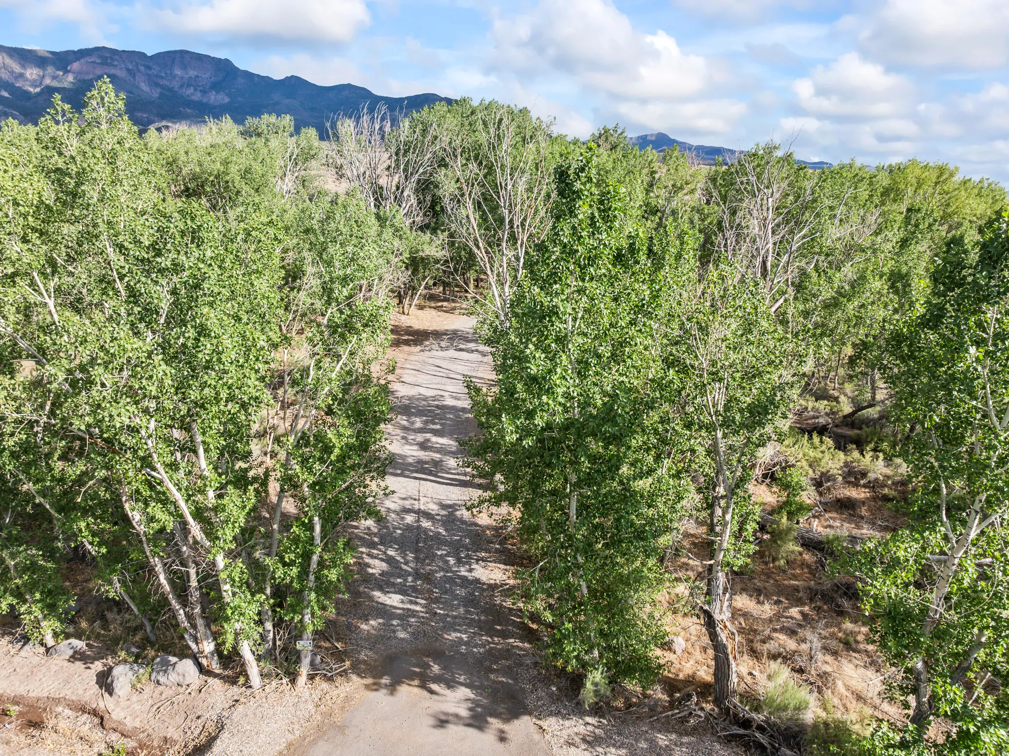 Expansive natural landscape featuring lush green trees, a winding dirt path, and distant mountains under a partly cloudy sky